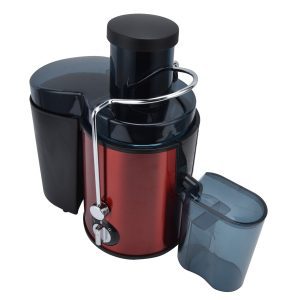 Commercial Juicer Extractor