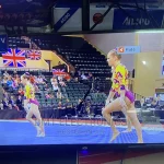 ADH 24 Inches Digital LED TV