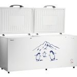 Hisense 660L Chest Freezer-White